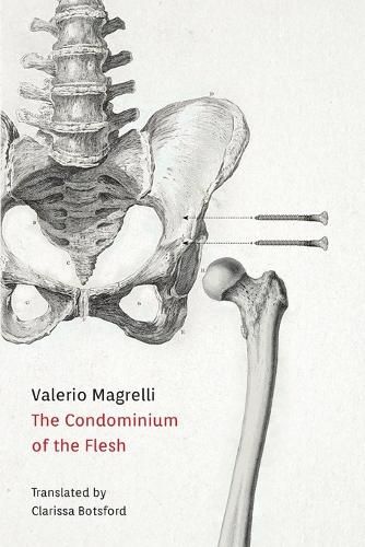 Cover image for Condominium of the Flesh