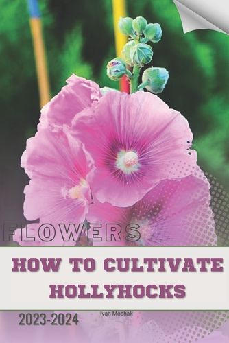 How to Cultivate Hollyhocks