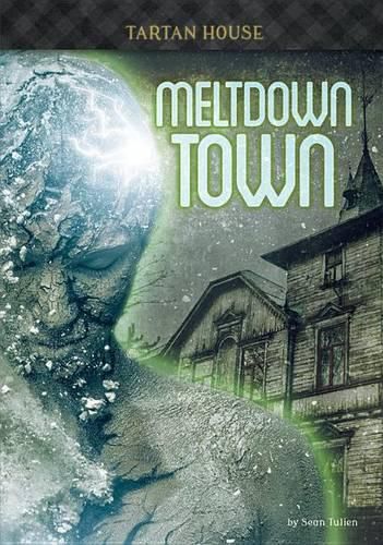 Cover image for Meltdown Town