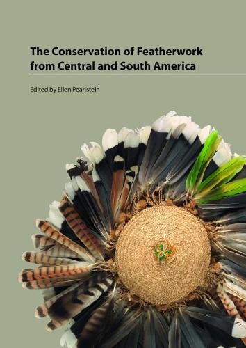 Cover image for The Conservation of Featherwork from Central and South America