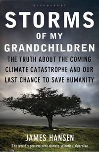 Cover image for Storms of My Grandchildren: The Truth about the Coming Climate Catastrophe and Our Last Chance to Save Humanity