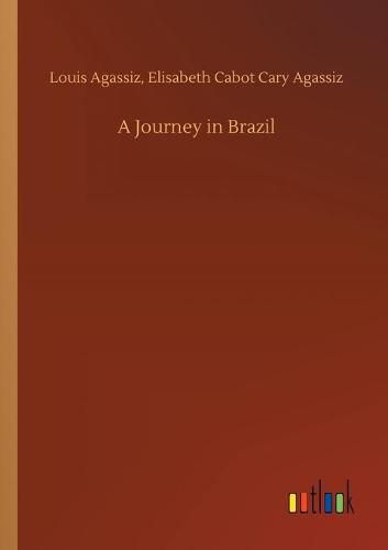 A Journey in Brazil