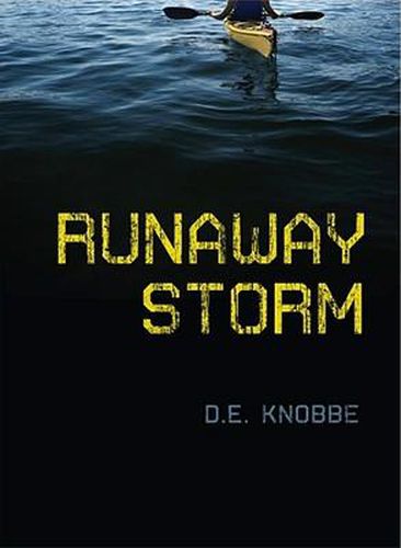 Cover image for Runaway Storm