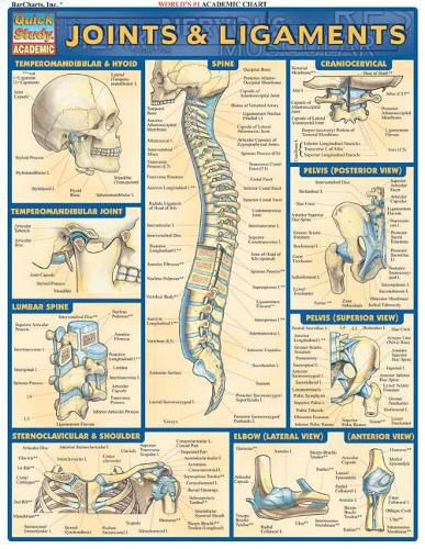 Cover image for Joints & Ligaments