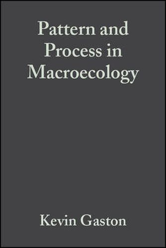 Cover image for Pattern and Process in Macroecology