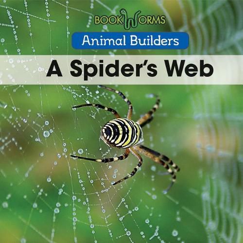 Cover image for A Spider's Web
