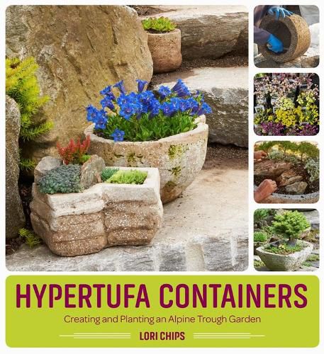 Cover image for Hypertufa Containers: Creating and Planting an Alpine Trough Garden