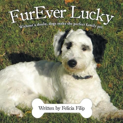 Cover image for FurEver Lucky