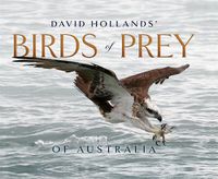 Cover image for David Hollands' Birds of Prey Of Australia