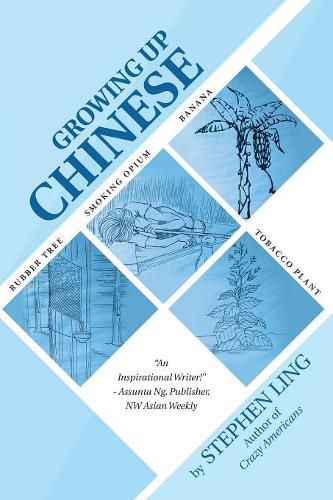 Cover image for Growing Up Chinese