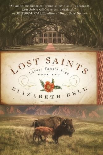 Cover image for Lost Saints