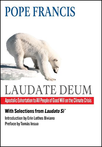 Cover image for Laudate Deum