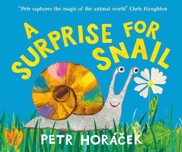 Cover image for A Surprise for Snail