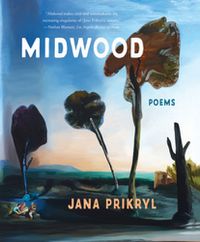 Cover image for Midwood
