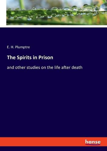 Cover image for The Spirits in Prison