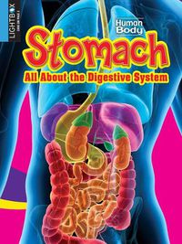 Cover image for Stomach: All about the Digestive System