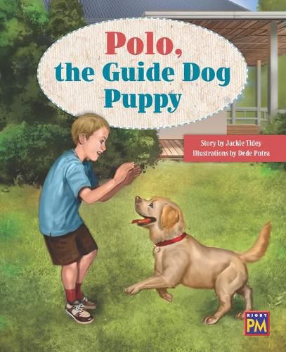 Cover image for Polo the Guide Dog Puppy: Leveled Reader Orange Level 15