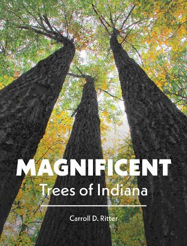 Cover image for Magnificent Trees of Indiana