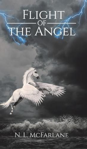 Cover image for Flight of the Angel