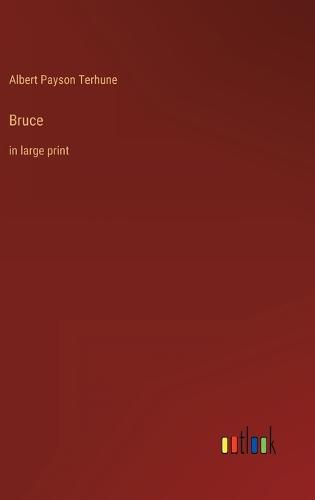 Cover image for Bruce