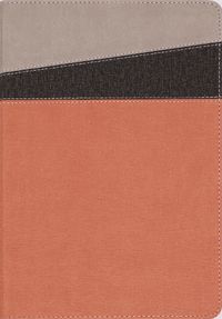 Cover image for NIV Application Bible, Leathersoft, Coral/Gray, Red Letter, Thumb Indexed, Comfort Print