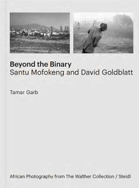 Cover image for Tamar Garb: Beyond the Binary