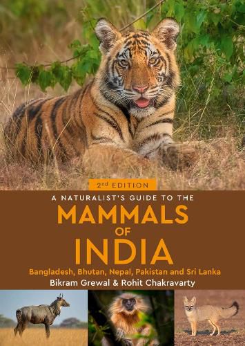 Cover image for A Naturalist's Guide to the Mammals of India