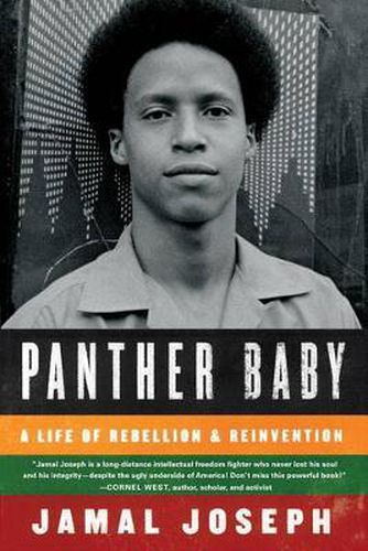 Cover image for Panther Baby