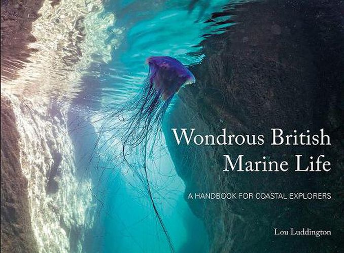 Cover image for Wondrous British Marine Life: A handbook for coastal explorers