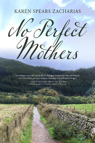 Cover image for No Perfect Mothers