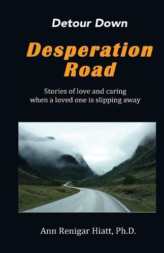 Cover image for Detour Down Desperation Road