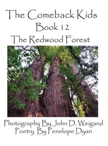 Cover image for The Comeback Kids, Book 12, the Redwood Forest