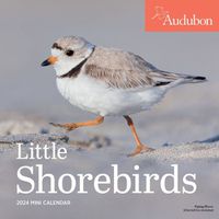 Cover image for Audubon Little Shorebirds Mini Wall Calendar 2024