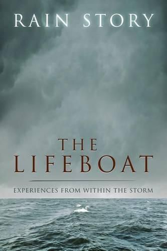 Cover image for The Lifeboat: Experiences from within the storm