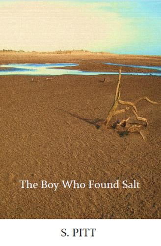 Cover image for The Boy Who Found Salt