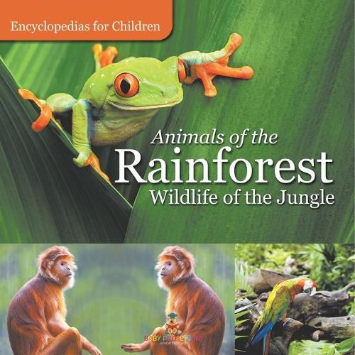 Cover image for Animals of the Rainforest Wildlife of the Jungle Encyclopedias for Children