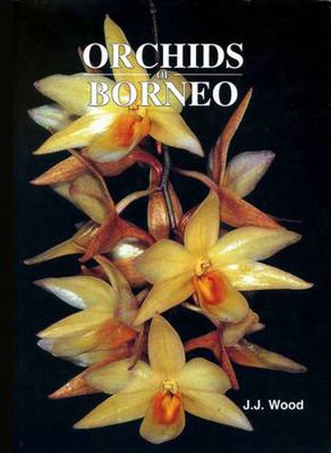 Cover image for Orchids of Borneo Volume 3