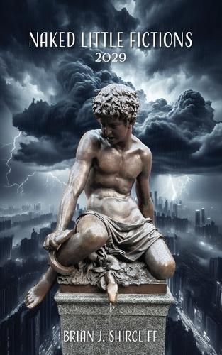 Cover image for Naked Little Fictions 2029