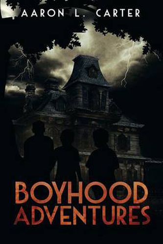 Cover image for Boyhood Adventures