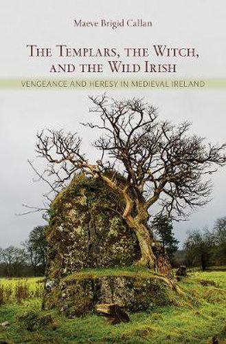 Cover image for The Templars, the Witch, and the Wild Irish: Vengeance and Heresy in Medieval Ireland