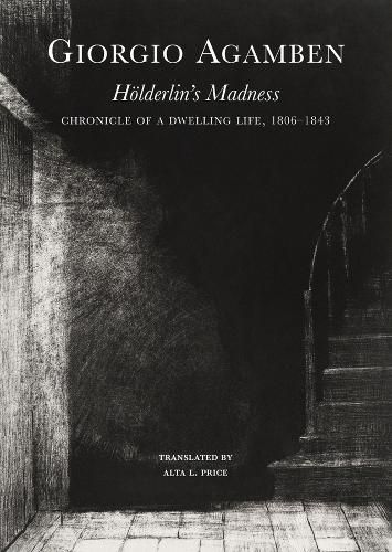 Hoelderlin's Madness