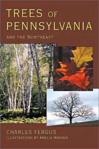 Cover image for Trees of Pennsylvania and the Northeast