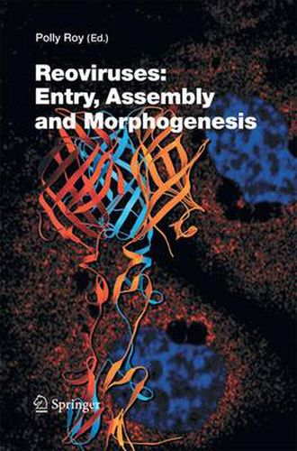 Cover image for Reoviruses: Entry, Assembly and Morphogenesis