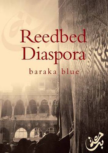 Cover image for Reedbed Diaspora
