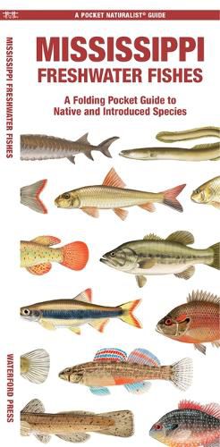 Cover image for Mississippi Freshwater Fishes