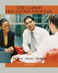 Cover image for The Labor Relations Process