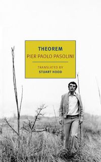 Cover image for Theorem
