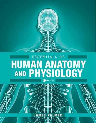 Essentials of Human Anatomy and Physiology