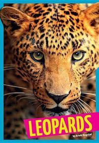 Cover image for Leopards