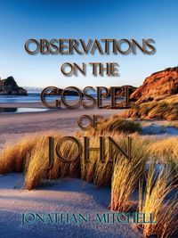Cover image for Observations on the Gospel of John